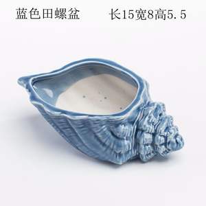 Keramik-Blumentopf - Seestern-Form, Ideal für Sukkulenten mit Meeres-Thema - Product Image 6