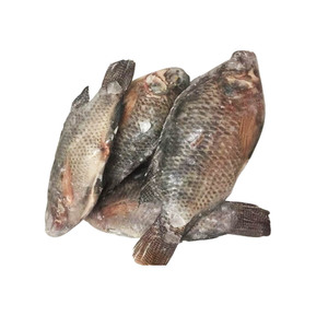 Tilapia entière congelée Taiseng, procédé IQF, origine Fujian, spécification 500-800g - Product Image 1