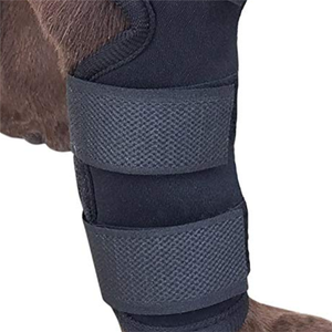 Attelle de genou pour chien, attelle de soutien flexible à charnières métalliques, traitement de la luxation de la rotule, entorse du <span class=keywords><strong>ligament</strong></span> croisé - Product Image 4