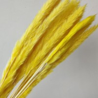 Bunga kering DIY dengan alang-alang bahan multiwarna dalam persediaan grosir dengan harga murah