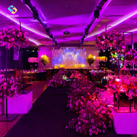 Projection 3D de cartographie pour mariage |   Projecteur de sol interactif et logiciel pour la décoration de banquets