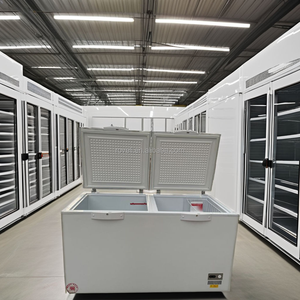 Vente d'usine en Chine <span class=keywords><strong>Congélateur</strong></span> coffre à double porte ouverte <span class=keywords><strong>Grand</strong></span> refroidisseur <span class=keywords><strong>Congélateur</strong></span> profond <span class=keywords><strong>Congélateur</strong></span> horizontal bon marché pour la viande - Product Image 6