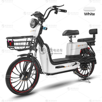 Vélo électrique ASIAN DRAGON 138 500W avec moteur en cuivre pur, 20 pouces, pour adultes, avec siège arrière et panier