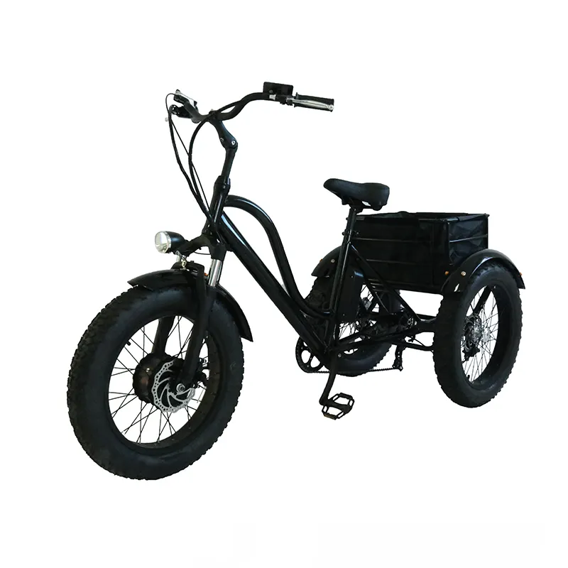 Fabrikant Groothandel Drie Wiel E Trike 48V 1000W Achter Motor Elektrische Mini Cars Vet Elektrische Trike