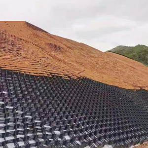 Geogrid serat kaca kekuatan tinggi untuk proyek infrastruktur skala besar-tanah meningkatkan stabilitas beban penahan Dinding - Product Image 1