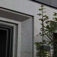 Dalles et Plaques de Granit Diamanté Gris Clair Naturel Poli sur Mesure Eastern Stone Century pour Revêtement Mural et de Sol – Garantie 5 Ans