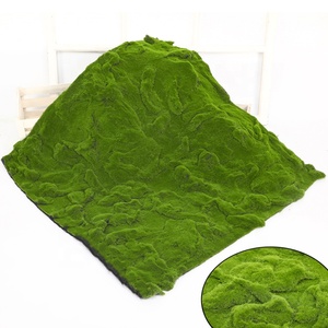 Heno de renos y hierba de panel, hoja decorativa de árbol preservada, bonsái sintético, musgo cuadrado artificial de alta calidad - Product Image 5