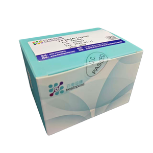 T4 dnaigase/dnase मुक्त | प्रमाणित आणविक जीवविज्ञान ग्रेड - Product Image 6