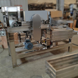 Máquina Industrial Totalmente Automática para Cortar, Triturar y Picar Nueces de Maní, Macadamia, Anacardos y Almendras - Product Image 6