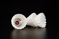 Ancien prix pour volants de Badminton blanc, professionnel, solide, anti-chute, ratio de 76/77/78