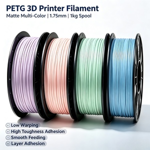 Filamento para Impresora 3D Zorvant PETG 1.75mm 1KG, Colores Suaves y Tono Pálido, Alta Resistencia, Personalización OEM, Prototipado, Decoración, Manualidades - Product Image 1