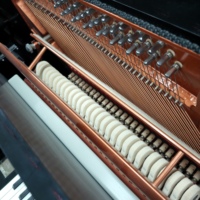 Feurich F122 Universal Piano 122cm Classic Design Excellent Tone for Daily Practice and Grade Exam