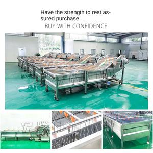 HONGTENG gelso linea <span class=keywords><strong>di</strong></span> asciugatura semi <span class=keywords><strong>di</strong></span> <span class=keywords><strong>melograno</strong></span> grano <span class=keywords><strong>di</strong></span> frutta macchina per la pulizia automatica bolle <span class=keywords><strong>di</strong></span> noce frutta fresca - Product Image 4