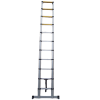 Échelle télescopique en aluminium TUV Safe Close de 3,8 m de hauteur, 12 marches, avec barre d'équilibre et fermeture douce