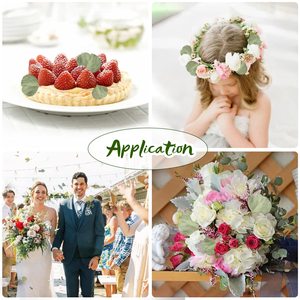 1kg di Foglie di Eucalipto Reale Essiccate, 100% Naturali, Conservate, Foglie Verdi di Eucalipto Silver Dollar <span class=keywords><strong>Biodegradabili</strong></span> per <span class=keywords><strong>Coriandoli</strong></span> - Product Image 4