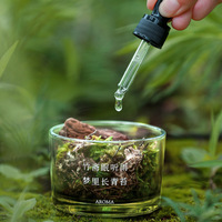 Cawan Aroma Diffuser Kayu Pinus, Kaca, dan Bunga, Bebas Alkohol, Gaya Hutan, Aromaterapi Tanpa Api, 10ml Minyak Esensial untuk Rumah