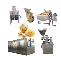 Nieuwe natuurlijke droge gember-knoflook droogverwerkingslijn, gedroogde gemberverwerkingslijn, automatische friteuse, capaciteit 1000 kg/uur, Gelgoog