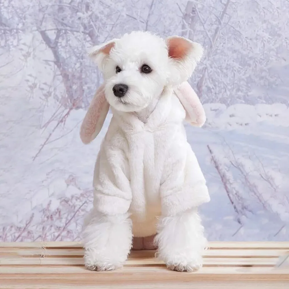 Qiqu 애완 동물 용품 사용자 정의 새로운 디자이너 봉제 귀여운 애완 동물 후드 애완 동물 스웨터 개 코트 저지 작은 개를위한 양털 강아지 옷