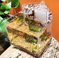 Aquarium de bureau en acrylique ultra-transparent de marque YGL, personnalisable (couleur, logo, taille) pour maison et bureau - Vente en gros