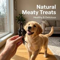 Friandises pour chiens au poulet noir séché à l'air, recette traditionnelle pour la santé et la vitalité, viande séchée naturelle pour chiens