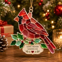 Nouvelle Décoration de Noël en Acrylique Style Verre de Mer, Pendentif pour Arbre de Noël, Idéal pour la Décoration de la Maison et des Magasins, Cadeau Souvenir de Fêtes