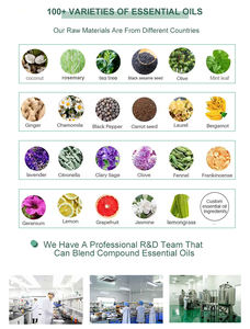 <span class=keywords><strong>Anti</strong></span> Perda De Cabelo Natural Orgânico Evitar A Perda De Calvície Tratamento Rápido Crescimento Nourish Seco Cuidados Com O Cabelo Danificado 7 Dias Óleo De Crescimento Do Cabelo - Product Image 6