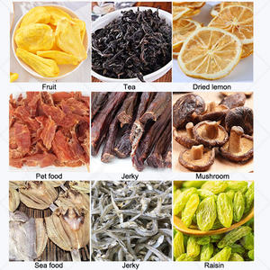 Essiccatore ORME per Ananas Fresco, Datteri, Tofu, <span class=keywords><strong>Zafferano</strong></span>, Frutta, Gamberi, Carne d'Anatra - Product Image 6