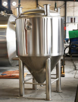 200L 300L 500L Cuve de Fermentation Conique En Acier Inoxydable Unitank Fermenteur De Bière