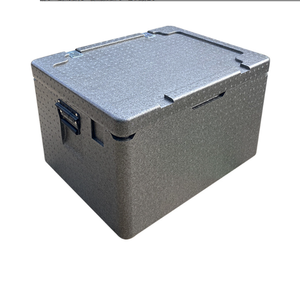 Boîte de stockage thermique en polyester personnalisée DFS01 26L 30L 46L 50L 60L 80L, avec ou sans charnières - Product Image 1