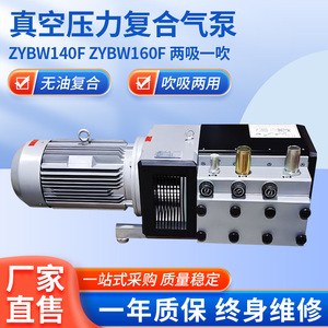Pompe à vide Isge ZYBW140F, décharge 33 mm, fonte et acier inoxydable, entraînement électrique, pièces pour machines d'emballage - Product Image 5
