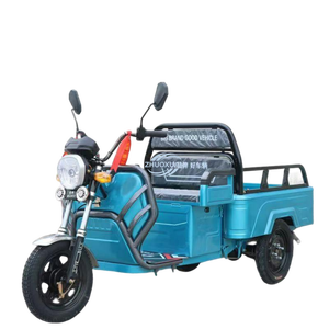 Tricycle électrique de transport flexible à structure légère, capacité de charge maximale de 500 kg - Product Image 5