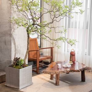 Maceta Cuadrada Grande <span class=keywords><strong>de</strong></span> Fibra <span class=keywords><strong>de</strong></span> Arcilla, Estilo Minimalista Moderno Chino, para Jardín y Hogar, Venta al por Mayor por Super Flowerpot Factory - Product Image 3