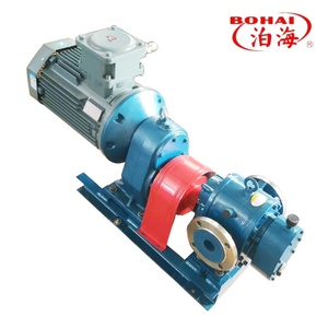 Bomba de la Serie LC Personalizable de Acero Inoxidable con Rotor de Desplazamiento Positivo para Alta Viscosidad 0.6MPa, Industria de Biocombustibles - Product Image 3