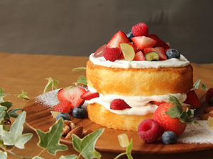 ฟองน้ำเค้กวานิลลาน้ำมันนึ่งสำหรับเค้กซับในเตาอบชื้นประสิทธิภาพสูง - Product Image 5