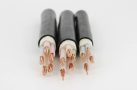 Câble électrique en cuivre Xlpe 0.6/1KV YJV 5 conducteurs 16mm 25mm 35mm 50mm Câbles gainés en PVC noir Fils 600/1000V