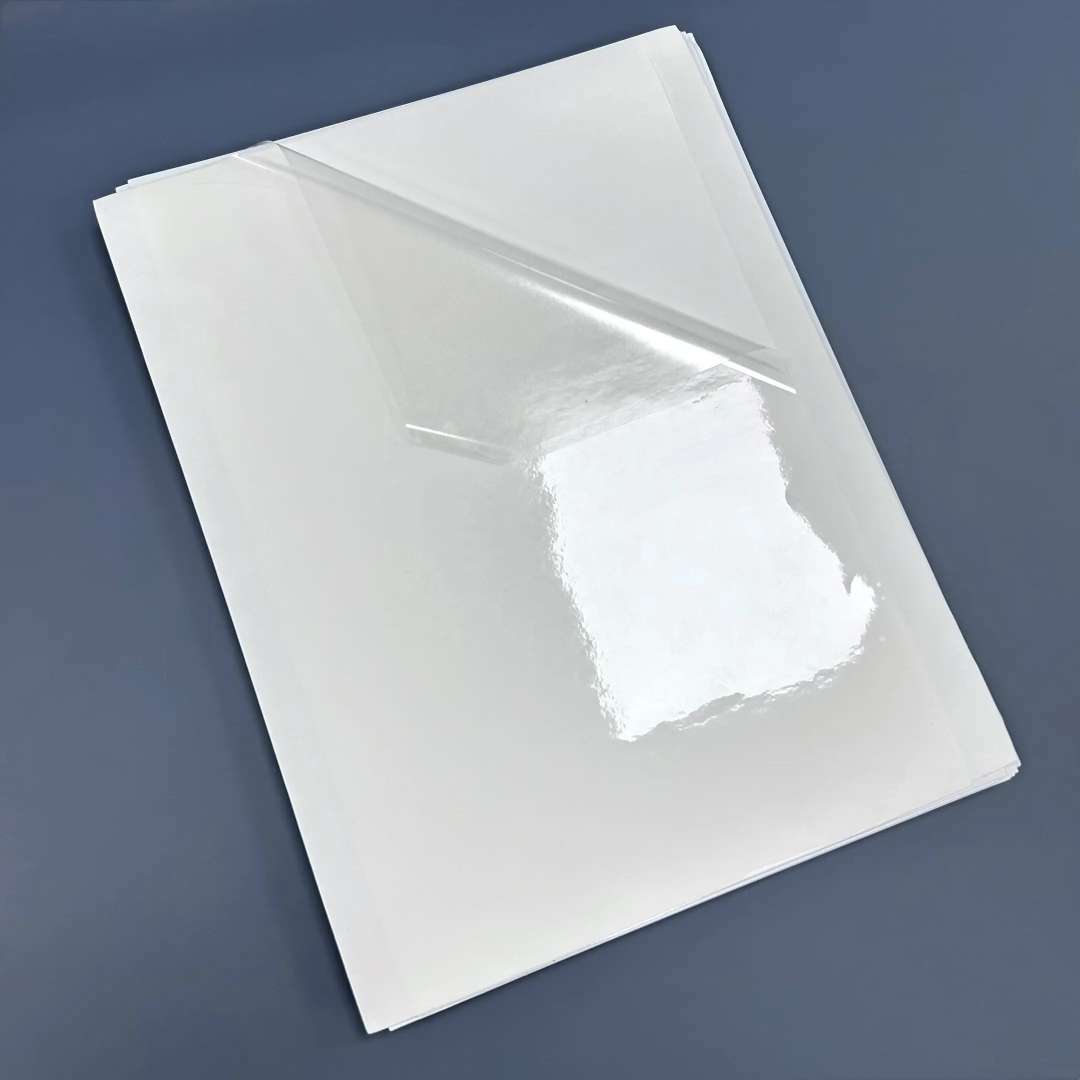 Etiqueta BOPP transparente para impressora a laser, etiqueta autoadesiva transparente em rolo, adesivo à prova d'água, folha de 330x487mm