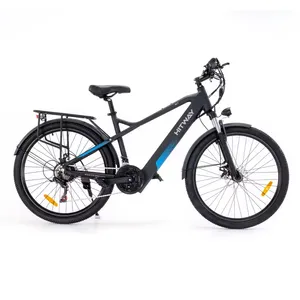 Electric Fat Tire Bicycle Disc Brake E-bikes Fat Tire Electric City Bike Vintage Design Fat Bike Available In EU Warehouse