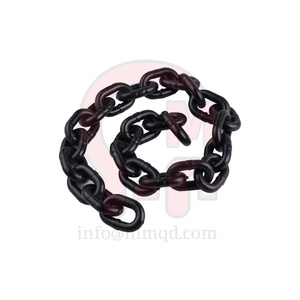 Cadena <span class=keywords><strong>de</strong></span> Elevación HLM G80 <span class=keywords><strong>de</strong></span> Muestra Gratuita, Cadena <span class=keywords><strong>de</strong></span> Aleación Soldada <span class=keywords><strong>de</strong></span> Longitud Personalizada <span class=keywords><strong>para</strong></span> Sistemas <span class=keywords><strong>de</strong></span> Elevación y Aparejos <span class=keywords><strong>de</strong></span> Elevación - Product Image 6