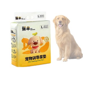 Tapis d'entraînement pour animaux de compagnie, taille L, conception anti-fuite pour chiens et chats - Product Image 5