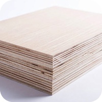 Scie à panneaux automatique de précision pour le travail du bois, pour la découpe précise en longueur et en largeur des panneaux de bois pour portes en bois, MDF, MDP