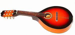 เครื่องดนตรีแมนโดลิน8สายเครื่องดนตรีดีไซน์ทันสมัยสำหรับนักเรียนผู้ใหญ่ - Product Image 3