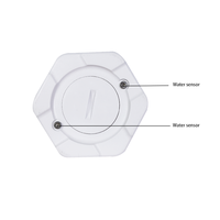 Balise de détecteur de fuite d'eau IP67 Bluetooth 5.0 avec 2 ans d'autonomie de la batterie
