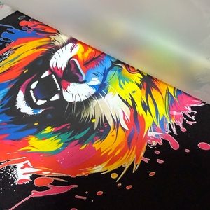 Adesivo in Vinile Plastisol Personalizzato e Durevole <span class=keywords><strong>per</strong></span> Trasferimenti a Caldo su Magliette, <span class=keywords><strong>per</strong></span> Trasferimenti DTF - Product Image 3