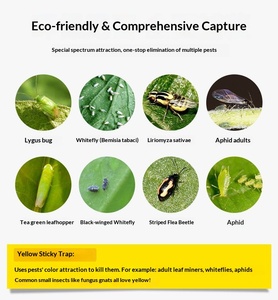 Piège à insectes collant imperméable pour plantes d'intérieur, autocollant double face jaune/bleu/noir en forme de papillon, accessoires de jardinage - Product Image 5