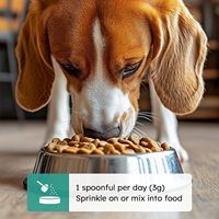Poudre Nettoyante pour Dents de Chien et Chat OEM la Plus Vendue, à Base d'Algues Marines, Réduit la Plaque Dentaire et la Mauvaise Haleine, Soutient le Système Immunitaire, Vitamines et Minéraux