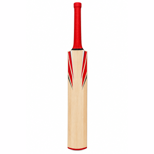 Fournisseur en gros de battes de cricket durables et légères avec logo personnalisé, services de fabrication OEM ODM pour les matchs - Product Image 2