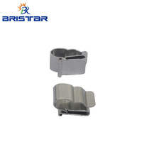 BRISTAR Fabricant Vente en gros de pinces de câble en acier inoxydable Pince de câble solaire PV Accessoires solaires Fil CC
