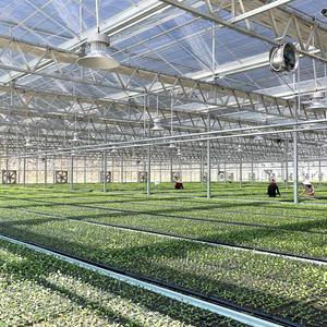 Invernadero de Cultivo Ecológico Multiusos con Buen Aislamiento Térmico y Ventilación, Invernadero de Vidrio - Product Image 3