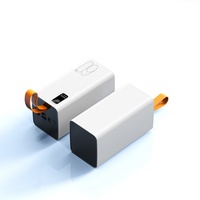 Station d'alimentation haute capacité 60000 mAh avec écran numérique 22,5 W, quatre ports USB, batterie externe pour extérieur, charge rapide