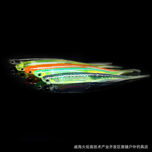Señuelos de Pesca Biomiméticos Suaves, Señuelos Artificiales Realistas con Forma de Arcoíris, 5 Colores, para Pesca de Lubina y Pez Mandarín en Agua Dulce - Product Image 4